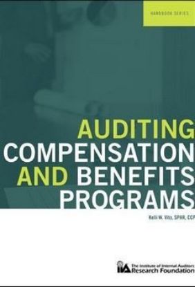 Picture of Auditing Compensation and Benefits Programs - eBook